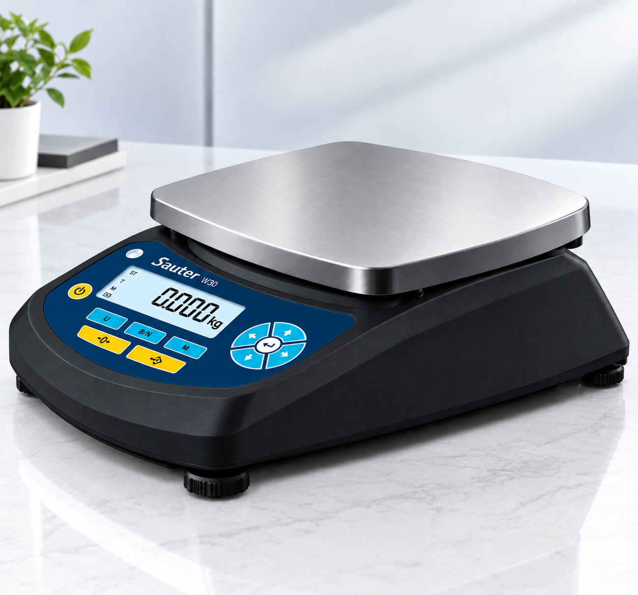 SAUTER W30