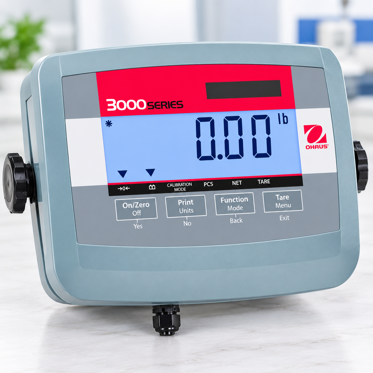 OHAUS T31P Indicator