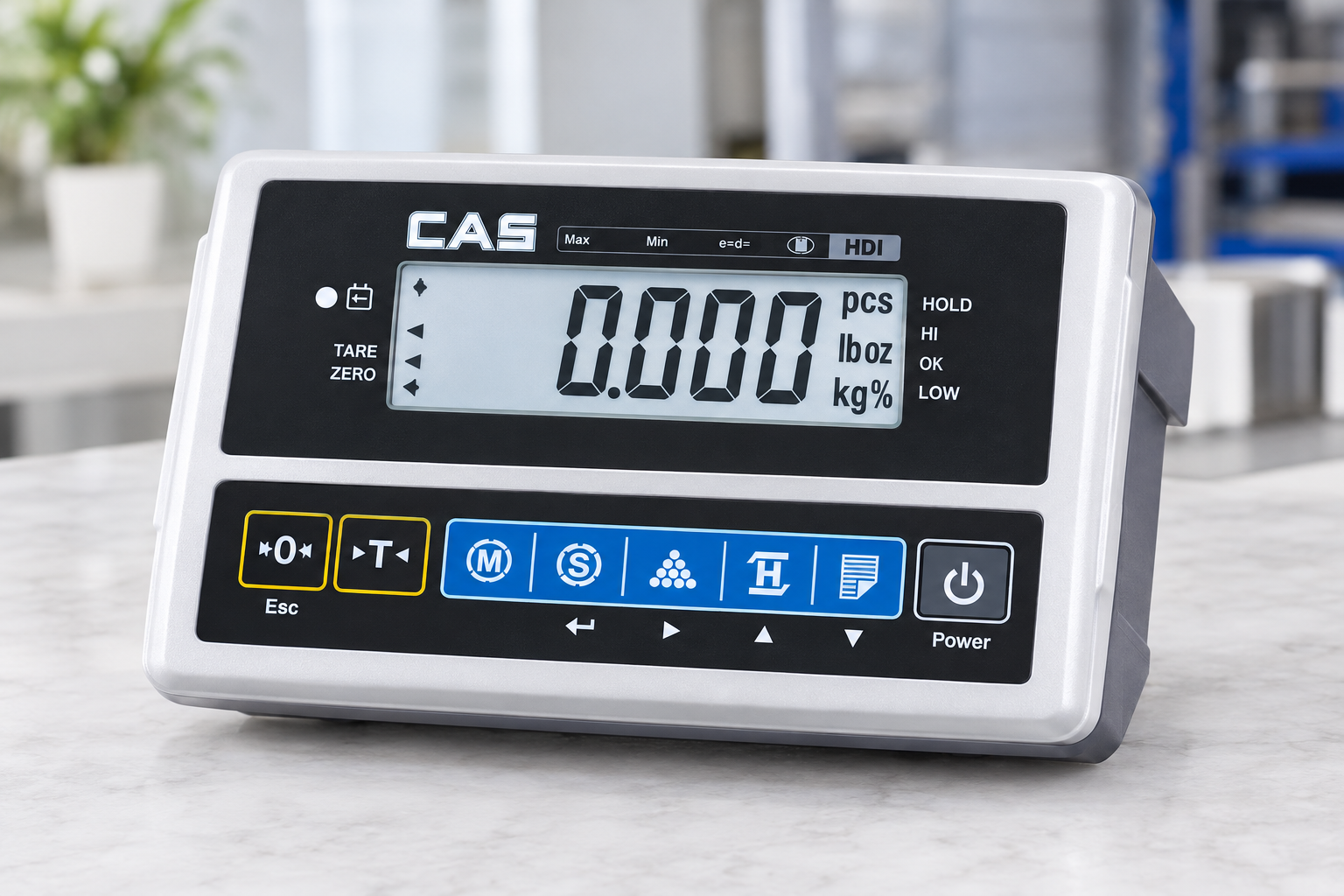 CAS HDI Weight Indicator